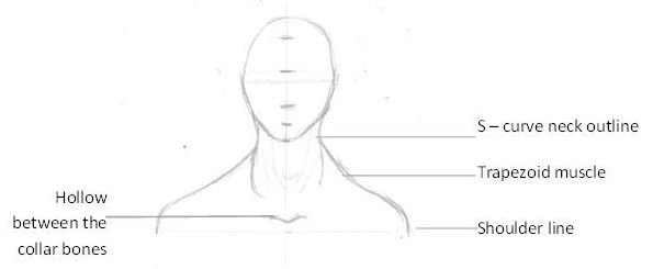 Featured image of post How To Draw Realistic Collarbones Have you had difficulty figuring out where to start what path to take or just