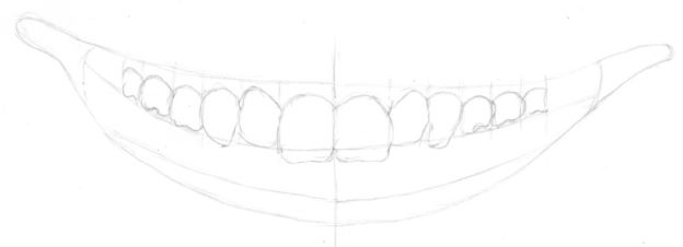 Mouth drawing with tooth lengths added