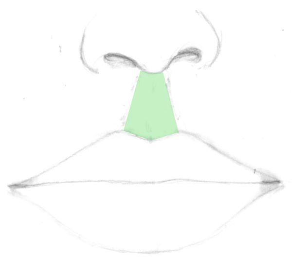 Mouth sketch with philtrum marked