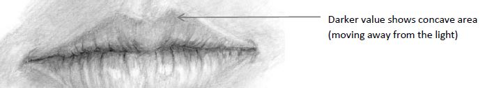Upper lip with concave area marked