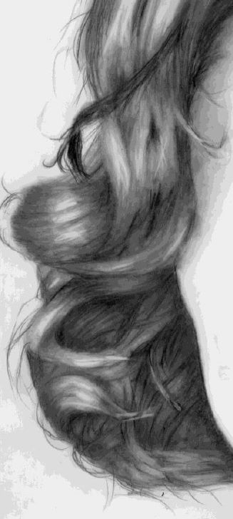 Completed hair drawing