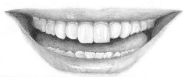 How to Draw Teeth | How to Draw New Zealand