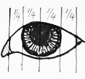 Measuring the pupil and iris